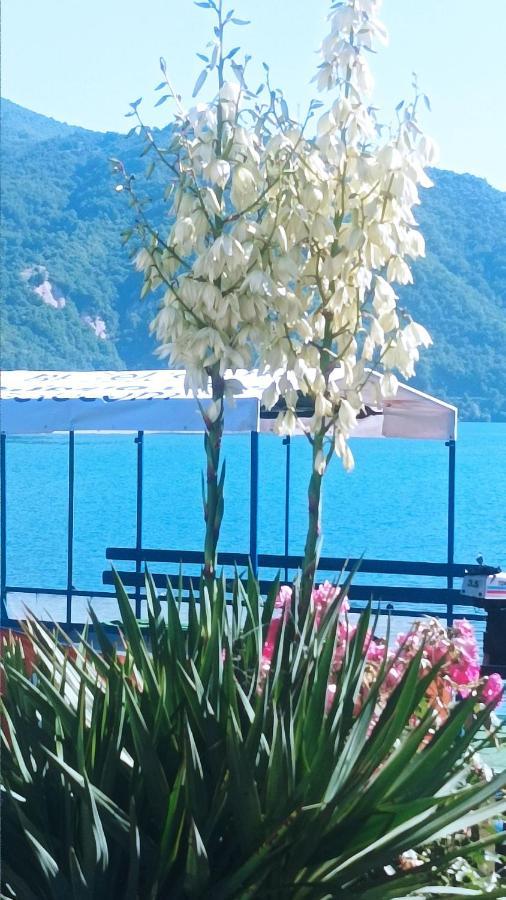 Dina Apartman Jablanicko Jezero Konjic Kültér fotó