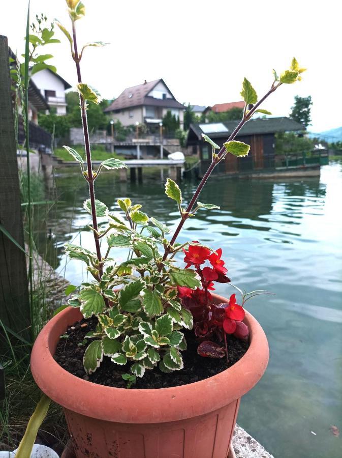 Dina Apartman Jablanicko Jezero Konjic Kültér fotó